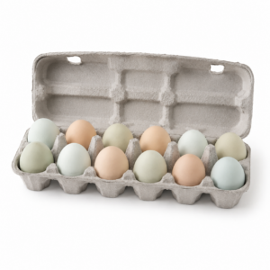 Huevos de campo color 12und
